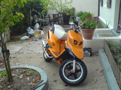 scoot david