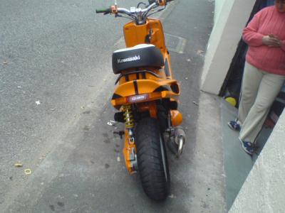 scoot david