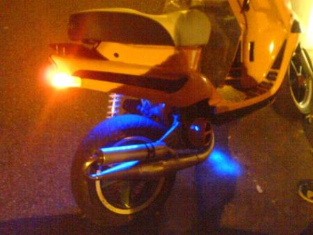 scoot david