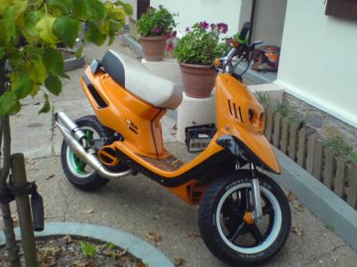 scoot david